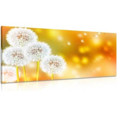 Obraz nadýchaná pampeliška - 120x60