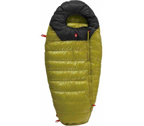 Pajak Quest Bear