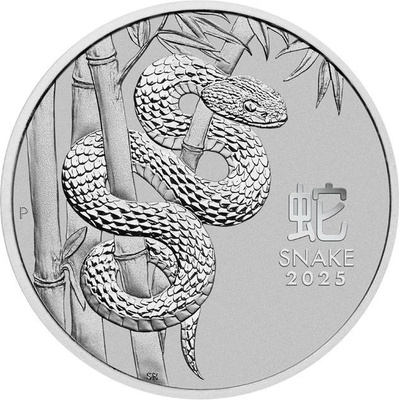 The Perth Mint Platinová mince Lunární série III Had 2025 1 oz – Zboží Mobilmania