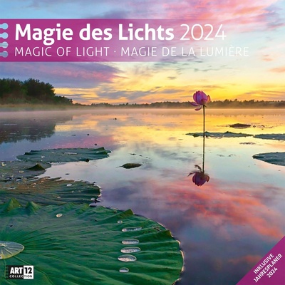 Ackermann Календар Ackermann - Magic of Light, 2024 (4410)