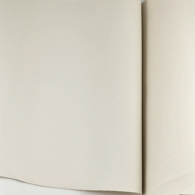 Ekokůže barva ECRU standard