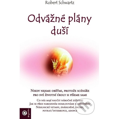 Odvážné plány duší - Schwartz Robert