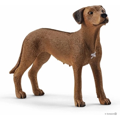 Schleich 13895 Ridgback rhodéský