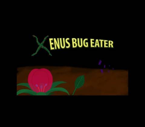 Xenus Bug Eater