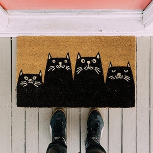 Fisura Котки