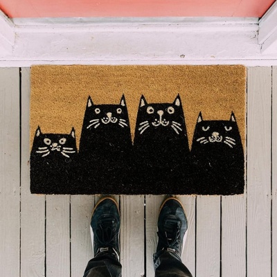 Fisura Котки