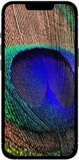 Apple iPhone 13 Pro 256GB Graphite