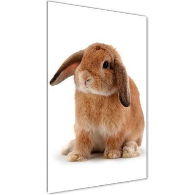 Vertikálny fotoobraz na skle Králik 50x100 cm