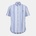 Ralph Lauren Custom Fit Striped Oxford Shirt - Blue Multi