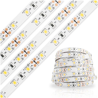 Eco Light EC79101