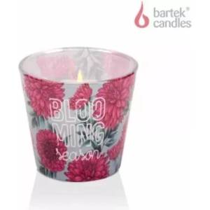 Bartek Candles Свещи Bartek кралско розово и пудрово розово 115 г
