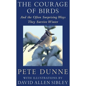 COURAGE OF BIRDS | DUNNE PETE (2024)