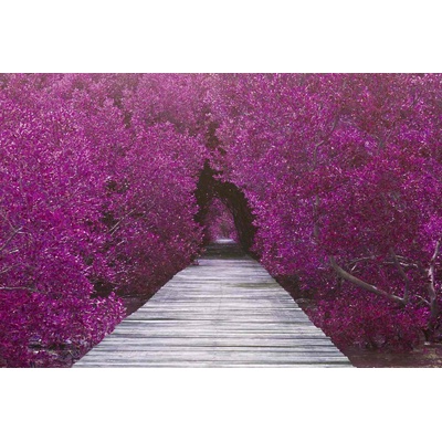 DIMEX ART Флизелинов фототапет дървен мост 375 x 250 см