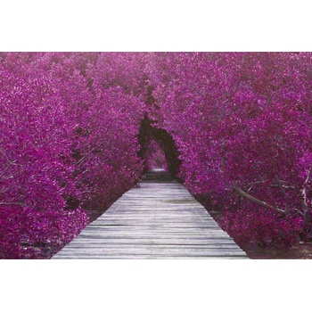 DIMEX ART Флизелинов фототапет дървен мост 375 x 250 см