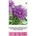 Seklos Кампанула Кичеста Лилава Campanula Glomerata