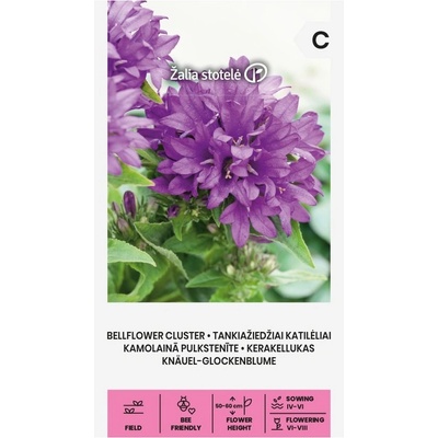 Seklos Кампанула Кичеста Лилава Campanula Glomerata