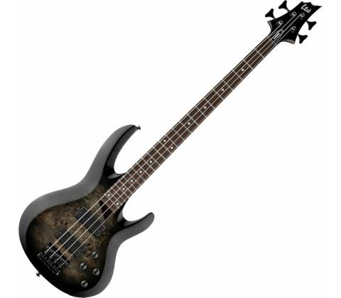 ESP LTD B-204DX