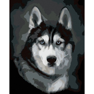 zuty Malování Podle Čísel Husky Portrét 80 x 100 Cm Plátno 8596530094500