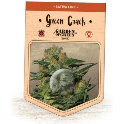 Garden Of Green Seedbank Green Crack semena neobsahují THC 3 ks