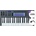 Novation FLkey 37 Set