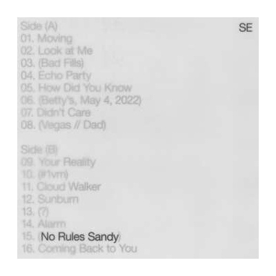 Sylvan Esso - No Rules Sandy LP