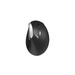 Rapoo EV250 (215045)