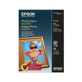 Epson C13S042536