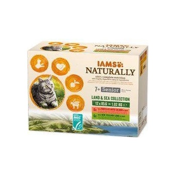 IAMS Cat Senior losos/jahňav omáčke 12 x 85 g