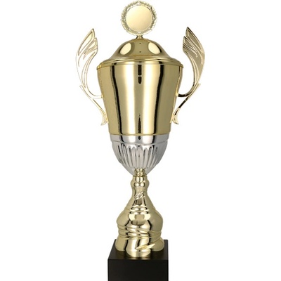 Kovový pohár s poklicí Zlato-stříbrný 42 cm 14 cm