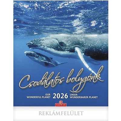 CSG 2025 Чудесна планета 30x34cm стенен календар FN U10CS (FNU10CS)