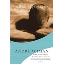 Call Me by Your Name. Ruf mich bei deinem Namen, englische Ausgabe - Aciman, Andre