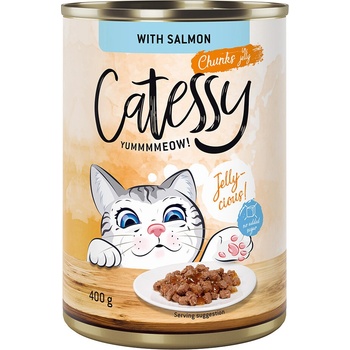 Catessy losos v želé 12 x 400 g