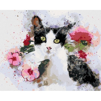 Zuty Malování podle čísel ČERNOBÍLÁ KOČKA A RŮŽOVÉ KVĚTINY
