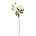 Bizzotto ИЗКУСТВЕНО ЦВЕТЕ rose 76cm БЯЛО (0171382)