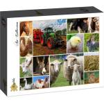 Grafika Art Puzzle Пъзел Grafika от 1500 части - Селскостопански животни (30027)