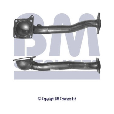 BM CATALYSTS BM50173