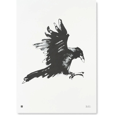 Teemu Järvi Plagát s motívom havrana Raven 50x70