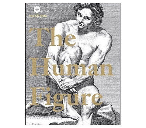 Human Figure