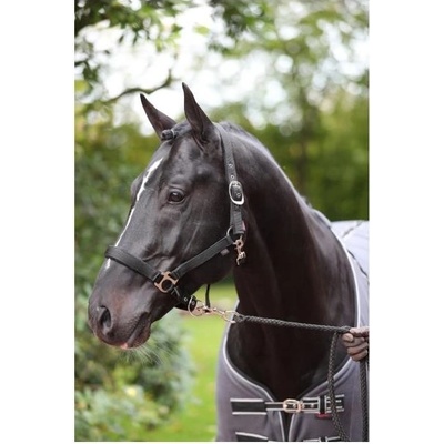 Covalliero Ohlávka nylonová Dexter černá – Zboží Dáma