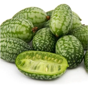 Image 1 of Seklos Мексиканска кисела краставичка Melothria scabra naudin