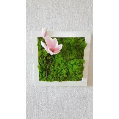 Mechový obraz v bílem rámu 33cm x 33cm