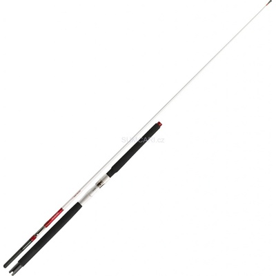 Daiwa Sealine Xtreme Interline 2,35 m 30-50 lb 2 díly