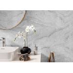  SPC СТЕННИ ПАНЕЛИ Ash Grey 120/60