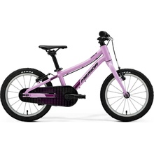 MERIDA MATTS J. 2026