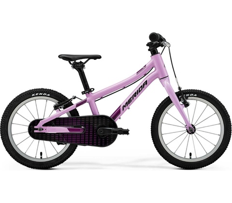 MERIDA MATTS J. 2026