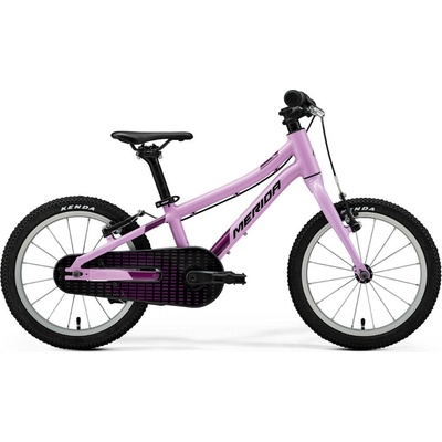 MERIDA MATTS J. 2026