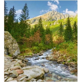 DIMEX ART s. r. o Флизелинов фототапет долина 225 x 250 см