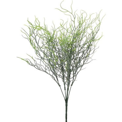 ZÁPICH TILANDSIA ZELENÁ 42CM