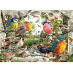 Ravensburger - Puzzle Our Feathered Friends - 1 000 piese