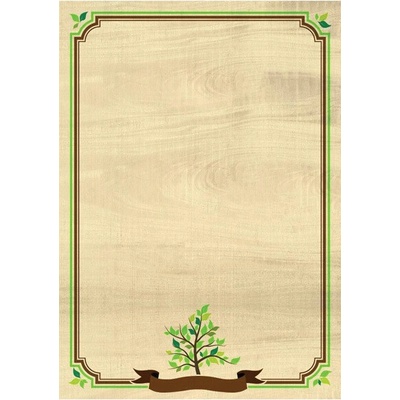 DIPLOM Natura 170g papier A4 bal. 25 ks 219117